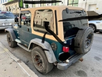 1998 Jeep Wrangler for sale in Michigan (ID-134449)