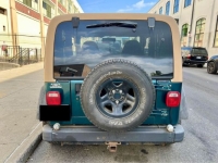 1998 Jeep Wrangler for sale in Michigan (ID-134449)
