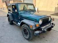 1998 Jeep Wrangler for sale in Michigan (ID-134449)