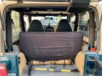 1998 Jeep Wrangler for sale in Michigan (ID-134449)