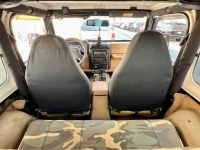1998 Jeep Wrangler for sale in Michigan (ID-134449)