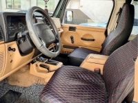 1998 Jeep Wrangler for sale in Michigan (ID-134449)