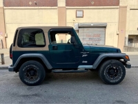 1998 Jeep Wrangler for sale in Michigan (ID-134449)