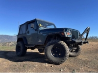 1998 Jeep Wrangler for sale in Michigan (ID-154915)