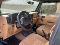 1998 Jeep Wrangler for sale in Michigan (ID-154915)