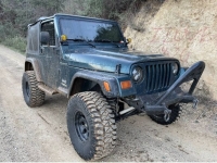 1998 Jeep Wrangler for sale in Michigan (ID-154915)