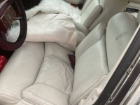 1998 Lincoln Town Car for sale in Michigan (ID-146387)