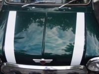 1998 Mini Cooper for sale in Michigan (ID-138372)