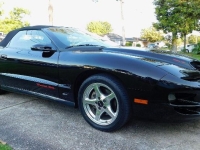 1998 Pontiac Trans Am for sale in Michigan (ID-131763)