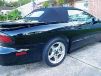1998 Pontiac Trans Am for sale in Michigan (ID-131763)