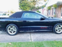 1998 Pontiac Trans Am for sale in Michigan (ID-131763)