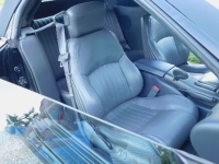 1998 Pontiac Trans Am for sale in Michigan (ID-131763)
