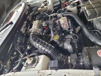 1999 Ford Mustang GT for sale in Omaha, Nebraska (ID-143438)