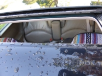 1999 Buick Riviera for sale in Michigan (ID-135821)