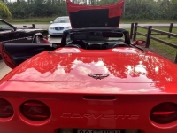 1999 Chevrolet Corvette for sale in Michigan (ID-131664)