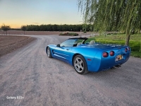 1999 Chevrolet Corvette for sale in Michigan (ID-131675)