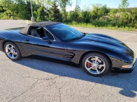 1999 Chevrolet Corvette for sale in Michigan (ID-131723)
