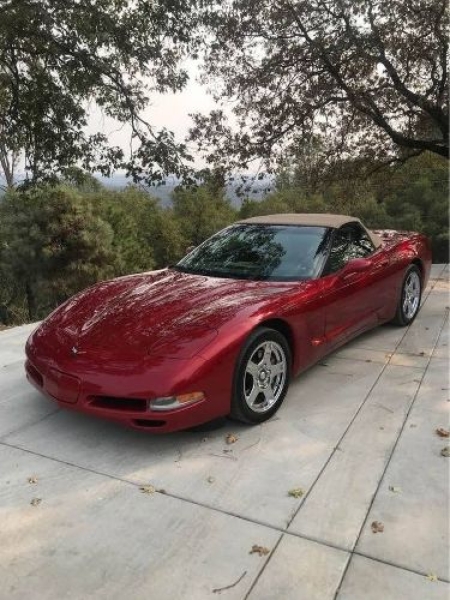 1999 Chevrolet Corvette for sale in Michigan (ID-131725) 1999 Chevrolet Corvette for sale in Michigan (ID-131725)