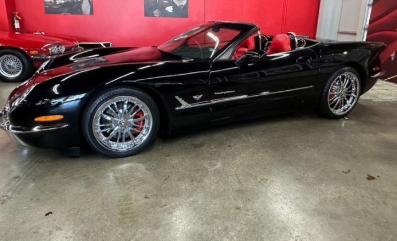 1999 Chevrolet Corvette for sale in Michigan (ID-145400)
