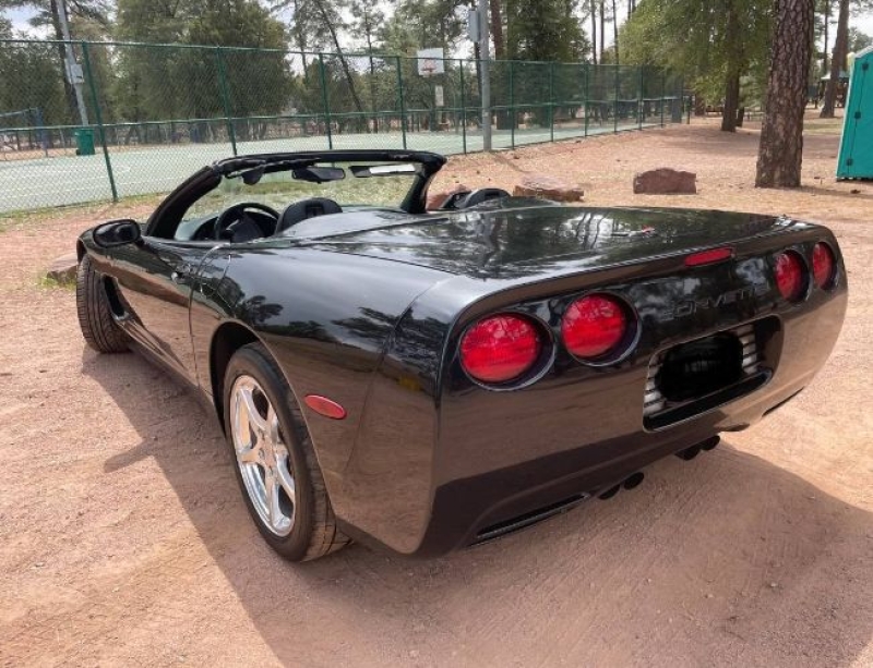 1999 Chevrolet Corvette for sale in Michigan (ID-146612)