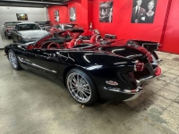 1999 Chevrolet Corvette for sale in Michigan (ID-162512)