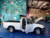 1999 Ford F150 for sale in Michigan (ID-131731)