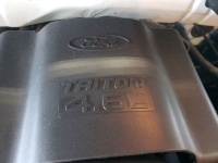 1999 Ford F150 for sale in Michigan (ID-131731)