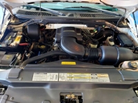 1999 Ford F150 for sale in Michigan (ID-131731)