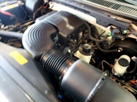1999 Ford F150 for sale in Michigan (ID-131731)