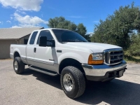 1999 Ford F250 for sale in Michigan (ID-144674)