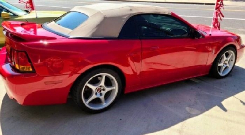 1999 Ford Mustang for sale in Michigan (ID-131727) 1999 Ford Mustang for sale in Michigan (ID-131727)