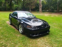 1999 Ford Mustang for sale in Michigan (ID-131779)