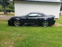 1999 Ford Mustang for sale in Michigan (ID-131779)