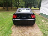 1999 Ford Mustang for sale in Michigan (ID-131779)