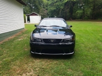 1999 Ford Mustang for sale in Michigan (ID-131779)