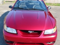 1999 Ford Mustang for sale in Riverhead, New York (ID-137465)