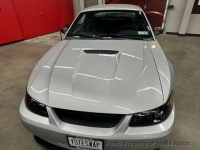 1999 Ford Mustang for sale in Riverhead, New York (ID-140660)
