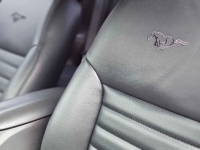 1999 Ford Mustang for sale in Michigan (ID-144846)