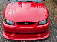 1999 Ford Mustang for sale in Michigan (ID-144846)