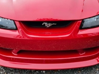 1999 Ford Mustang for sale in Michigan (ID-144846)