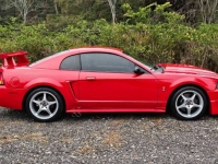 1999 Ford Mustang for sale in Michigan (ID-144846)