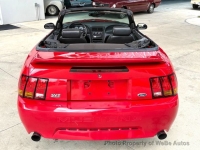 1999 Ford Mustang for sale in Riverhead, New York (ID-163358)