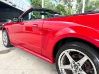 1999 Ford Mustang for sale in Riverhead, New York (ID-163358)