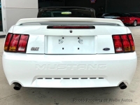 1999 Ford Mustang for sale in Riverhead, New York (ID-164198)