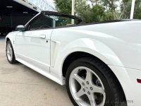 1999 Ford Mustang for sale in Riverhead, New York (ID-164198)
