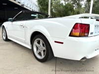 1999 Ford Mustang for sale in Riverhead, New York (ID-164198)