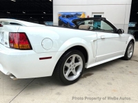 1999 Ford Mustang for sale in Riverhead, New York (ID-164198)
