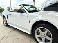 1999 Ford Mustang for sale in Riverhead, New York (ID-164198)