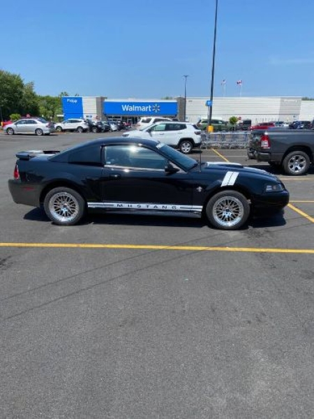 1999 Ford Mustang GT for sale in Michigan (ID-134145)