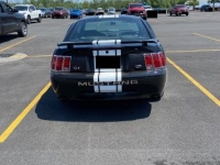 1999 Ford Mustang GT for sale in Michigan (ID-134145)